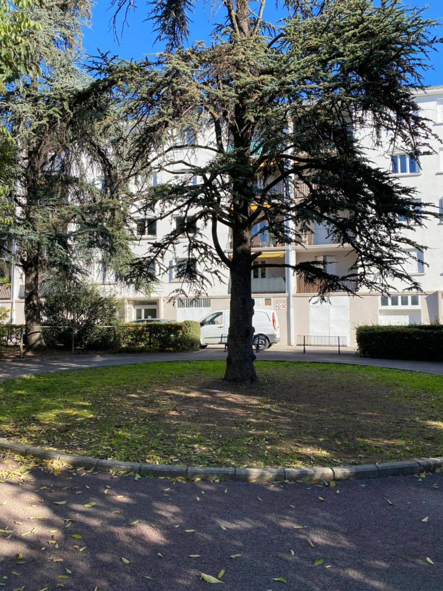 Appartement Rosaluz Montpellier Luaran gambar